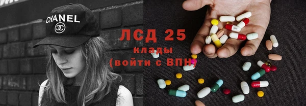 PSILOCYBIN Лабытнанги
