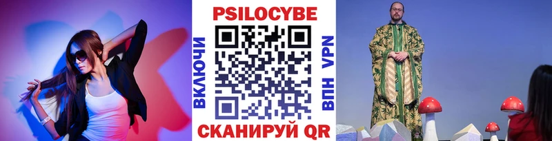 Псилоцибиновые грибы Psilocybe Михайловка