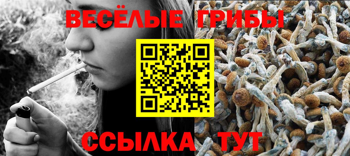 Псилоцибиновые грибы мицелий Михайловка