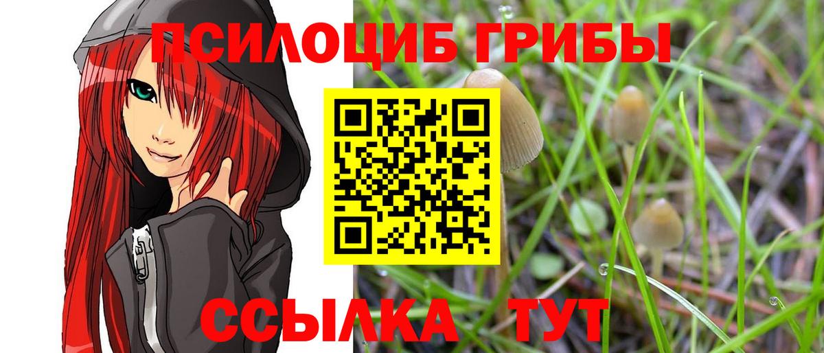 Галлюциногенные грибы Psilocybine cubensis Михайловка