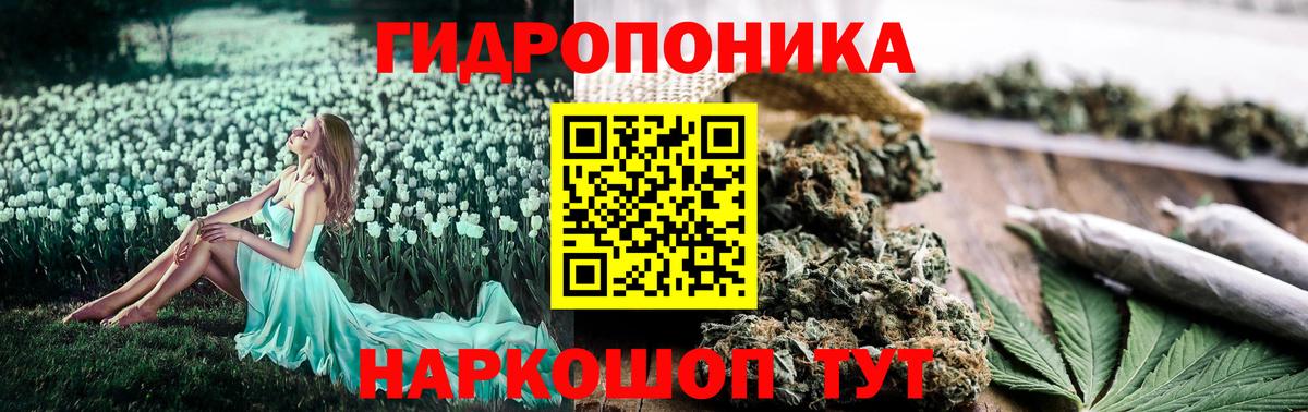 МАРИХУАНА семена  Вход с VPN  Бошки Шишки White Widow  МАРИХУАНА AK-47  Михайловка  МАРИХУАНА OG Kush 